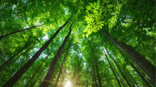 Invest4Growth selects RiskMonitor for ESG Reporting